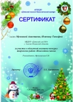 Мрачковская Сертификат